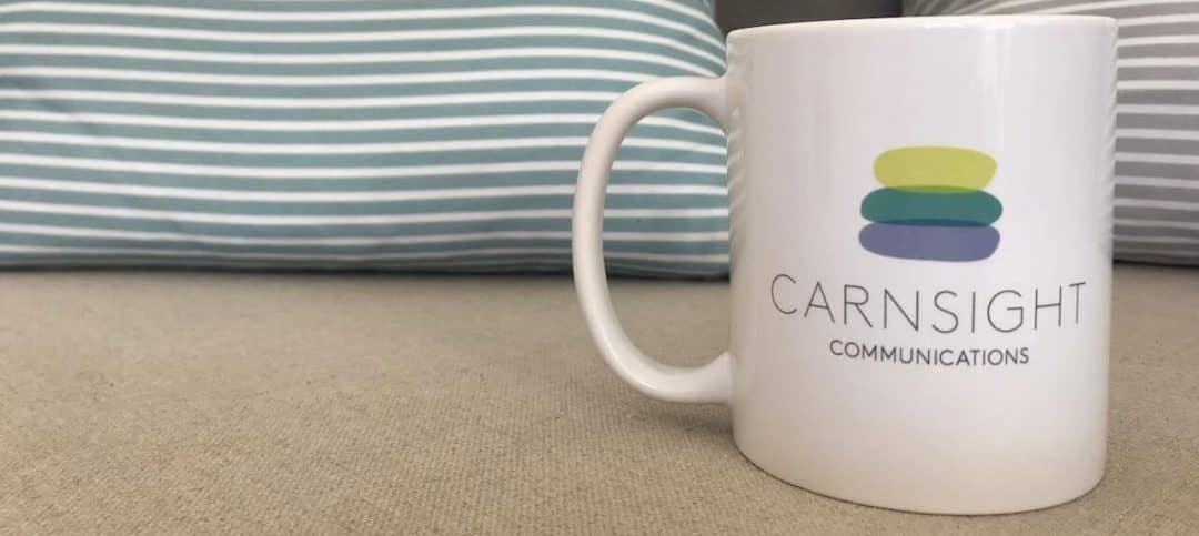 Carnsight mug and cushion